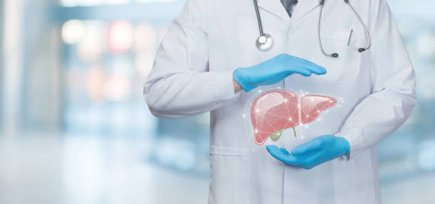 Protection and support of the patient liver. stock photo