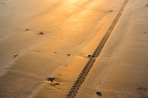 Bike tyre treads patterns impression on wet beach sand with evening golden sunlight on the sand shining.
