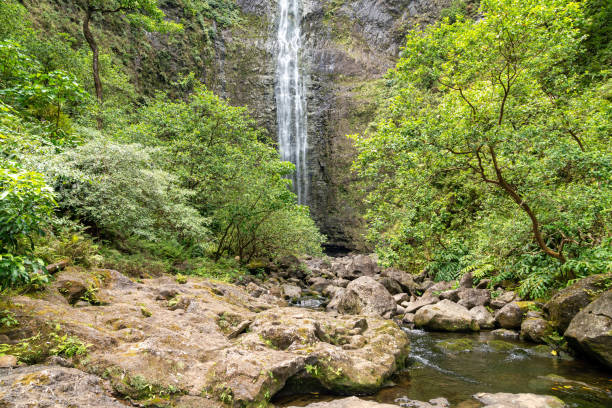 istock Waterfall in Kauai, Hawaii 1409950660
