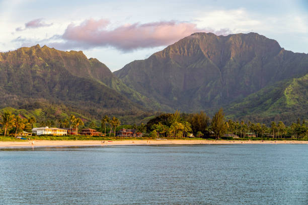 istock Beach in Kauai, Hawaii 1409951420