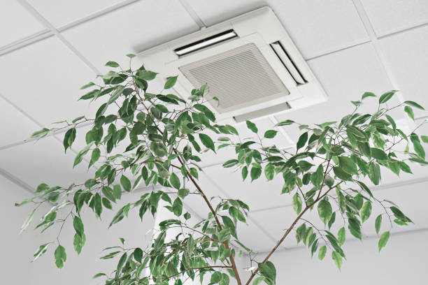 istock Closeup cassette Air Conditioner on ceiling in modern light office or apartment with green ficus plant leaves. Indoor air quality 1409952846