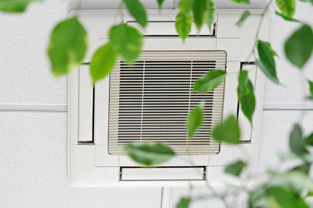 closeup cassette air conditioner on ceiling in modern light office or apartment with green ficus plant leaves. indoor air quality - air quality 個照片及圖片檔
