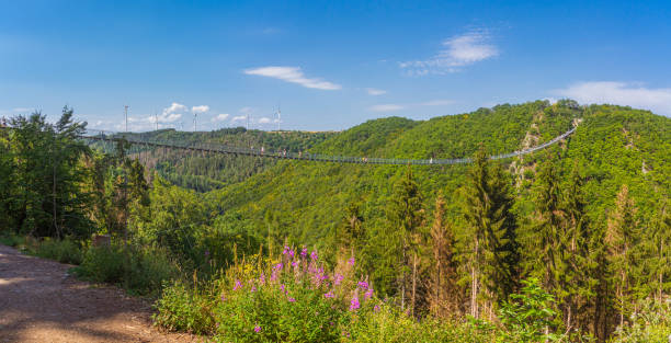 Moersdorf, Germany: August, 1. 2020: Geierlay suspension rope bridge, a pedestrian rope bridge between the local communities of Moersdorf and Sosberg in the Hunsrueck upland in Rhineland-Palatinate, Germany.