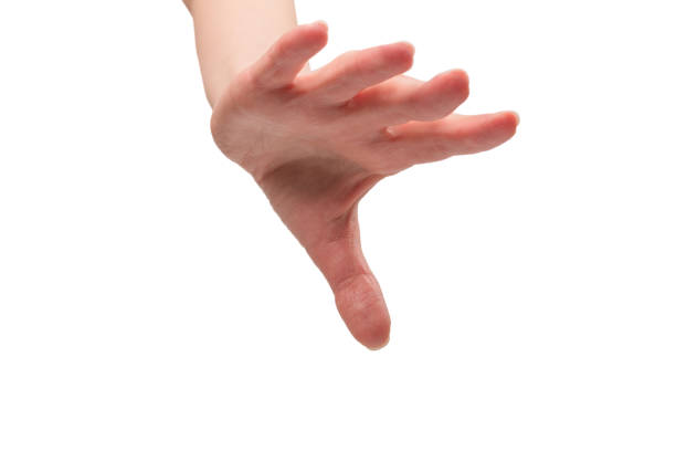 istock Woman hand isolated on a white background. 1409953188