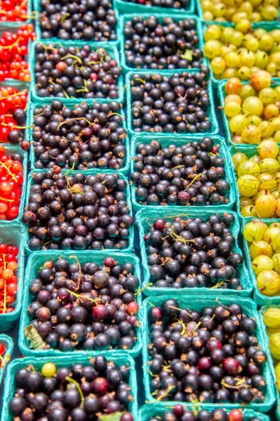 istock farmer's market black currants 1409955328