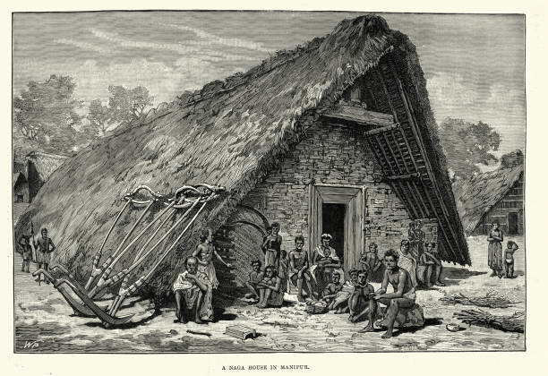 tradycyjny kryty strzechą dom ludu naga, manipur północno-wschodnie indie, 19 wiek - thatched roof illustrations stock illustrations