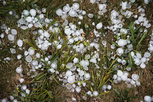 Hailstones on the green grass after hailstorm