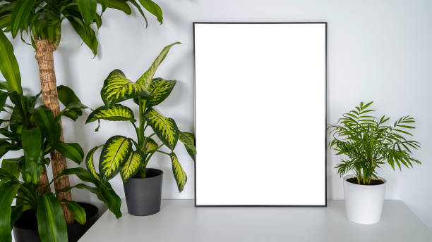 istock Modern panel with plant in an office room. Minimalist black frame mockup 1409960294