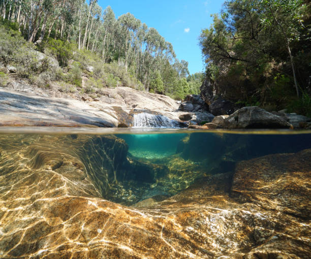 istock Wild river landscape natural stream split view over under water 1409962122