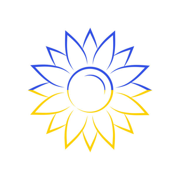 sunflower symbol of ukraine, lineart, national flag colors blue and yellow, simple vector illustration sunflower symbol of ukraine, lineart, national flag colors blue and yellow, simple vector illustration, made in Ukraine sunflower star stock illustrations