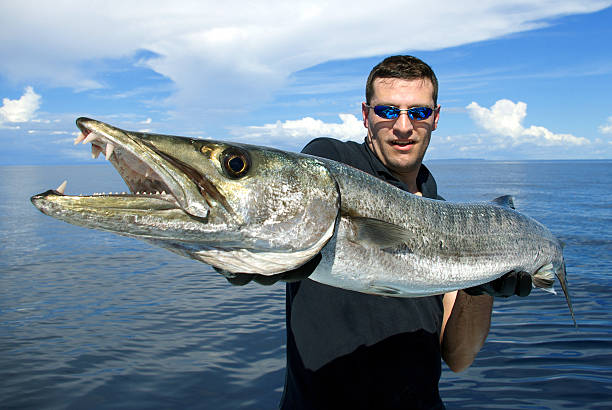 pêcheur avec géant barracuda - barracuda photos et images de collection