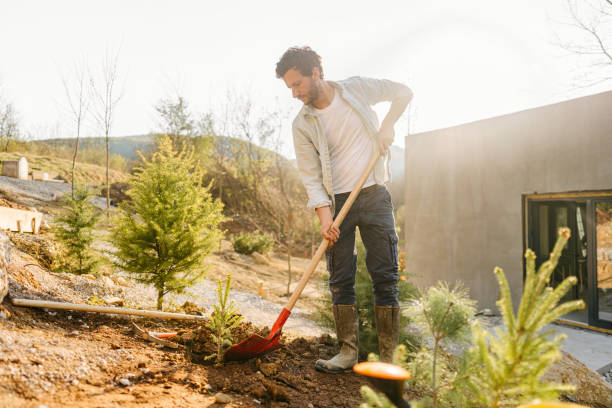 istock Man working in his garden 1409967931