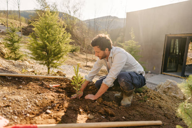 彼の庭で働く男 - front or back yard dirt occupation working ストックフォトと画像