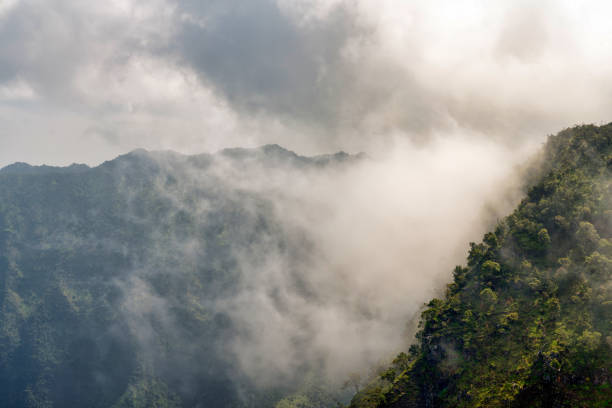 istock Fog along the Kauai, Hawaii coastline 1409969912