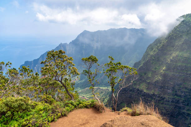 istock Coastline in Kauai, Hawaii 1409969953