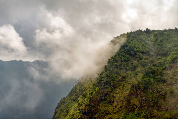 istock Fog along the Kauai, Hawaii coastline 1409969954