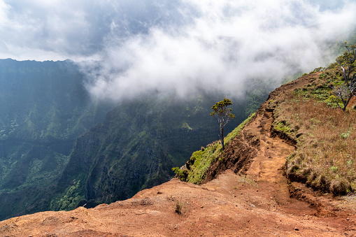 Waimea Canyon in Kauai, Hawaii