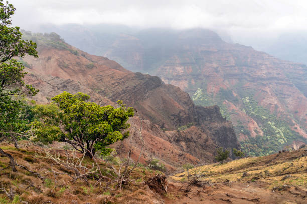 istock Waimea Canyon in Kauai, Hawaii 1409970707