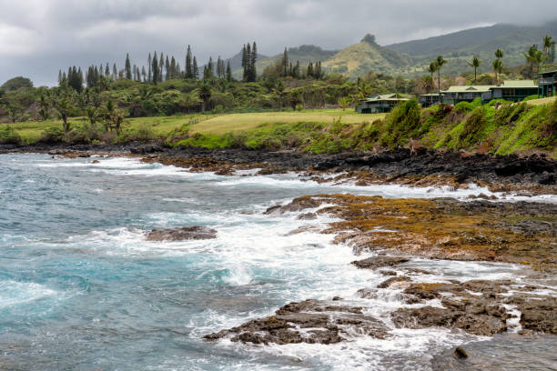 istock Beautiful Maui, Hawaii coastline 1409972659