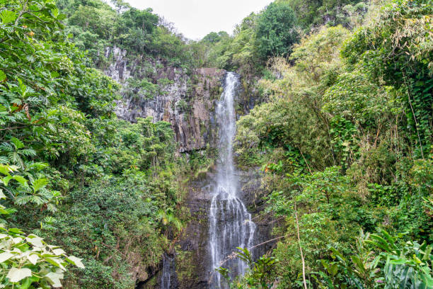 istock Waterfall in Maui, Hawaii 1409972660