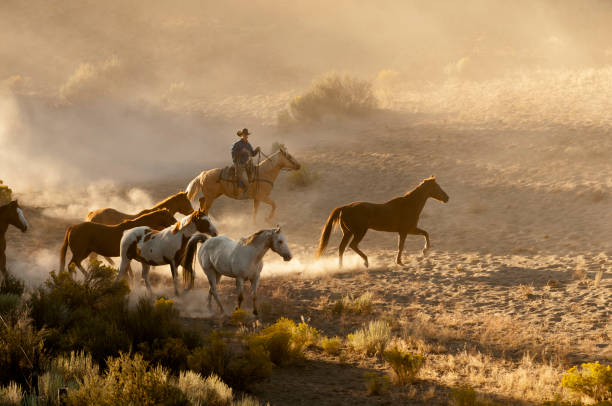 istock herd horses by horseback 1409973914