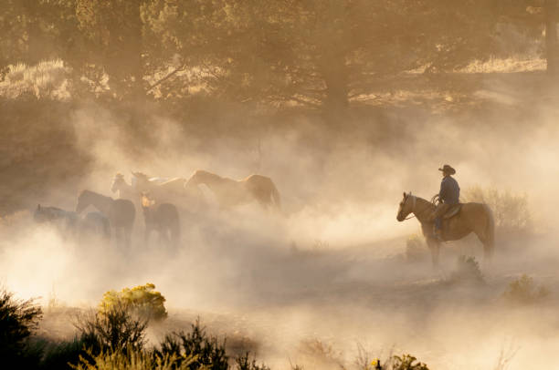 istock herd horses by horseback 1409973933
