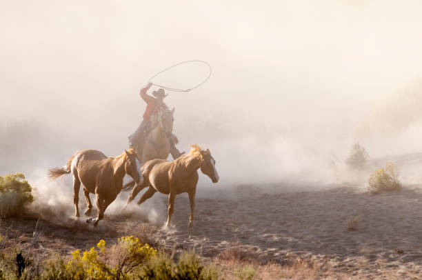 istock herd horses by horseback 1409974034