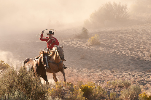 cowboys herding horses on the Oregon high desert