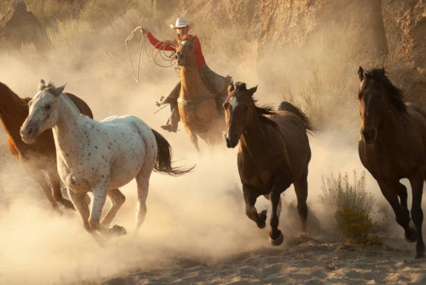 istock herd horses by horseback 1409974625