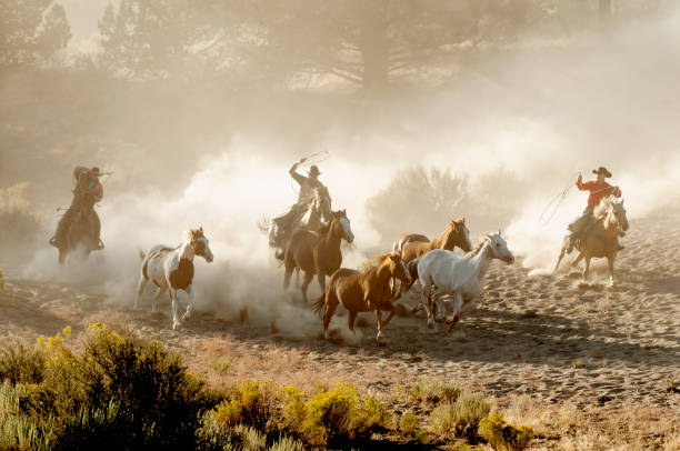 istock herd horses by horseback 1409974643