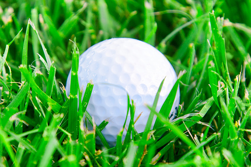 Golf ball with golf clubs on grass lawn, close-up, no people