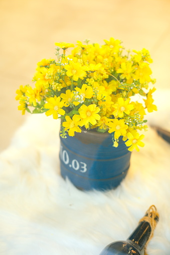 Bouquet of yellow garden cosmos flowers in blue flowerpot, decorative bouquet for celebration