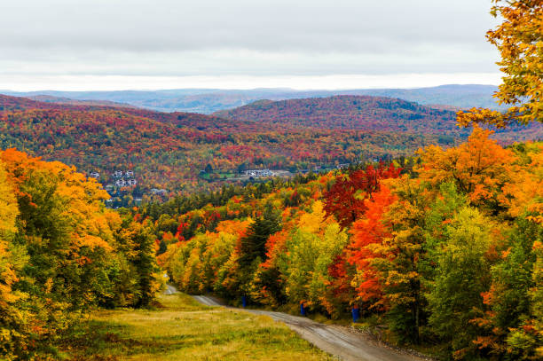 alrededores colinas y prados de mont-tremblant durante el otoño - deep of field fotografías e imágenes de stock