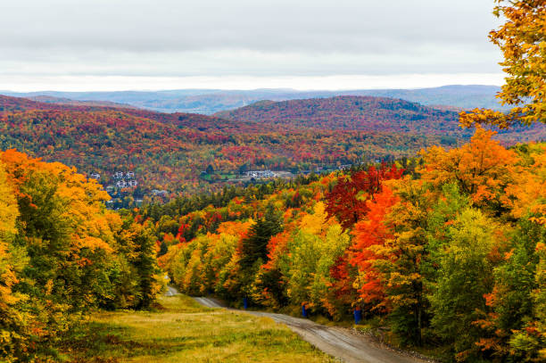 Surroundings hills and meadows of Mont-Tremblant during Autumn View over the surroundings hills and meadows of Mont-Tremblant during Autumn, Quebec, Canada autumn leaf tree maple tree stock pictures, royalty-free photos & images