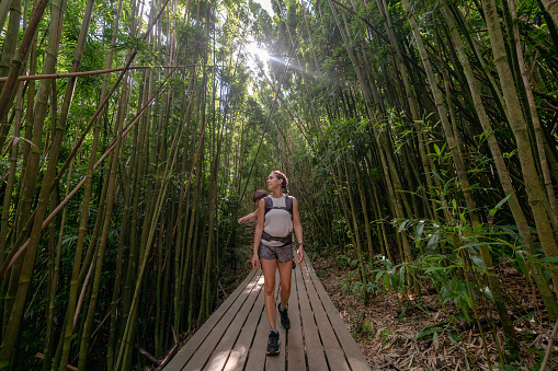 An active young Eurasian woman carries her toddler daughter on her back in a baby carrier while hiking along a boardwalk footpath through a bamboo forest in Hawaii.