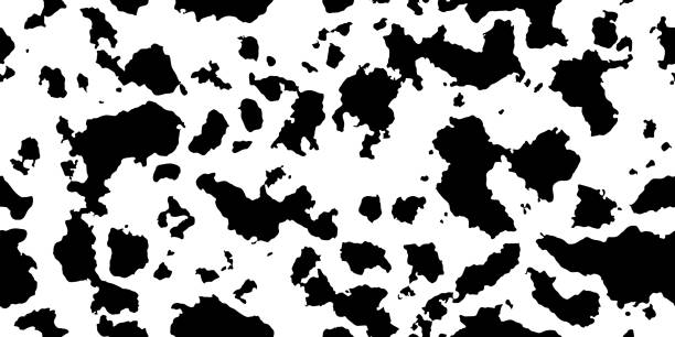 Black-white cowhide as a seamless texture. Spotted vector background Black-white cowhide as a seamless texture. Spotted vector background. Animal print with abstract dots. Panda, dalmatian or appaloosa horse skin pattern. appaloosa stock illustrations