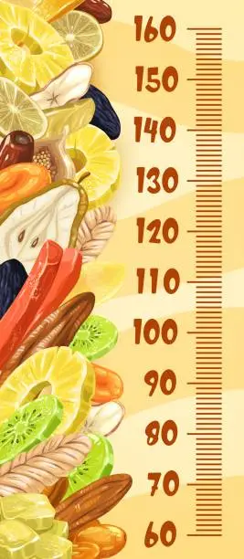 Vector illustration of Dried fruits and snacks, kids height chart ruler