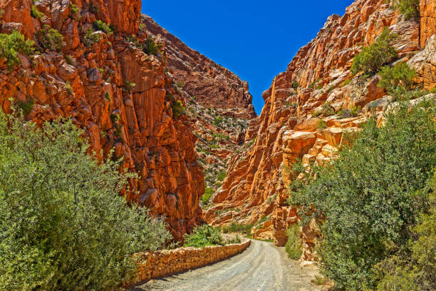 istock Deep gorge on Swartberg mountain pass 1409982737