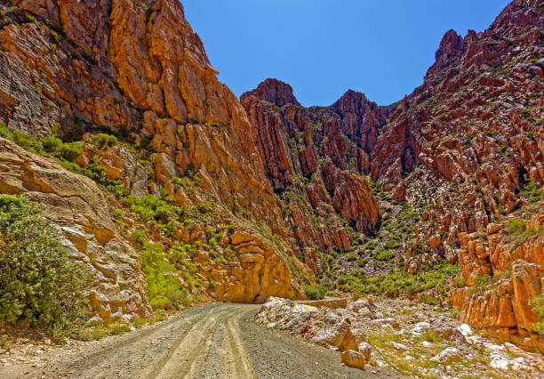 Gravel road through deep Dorp River gorge