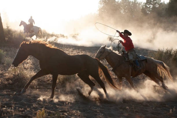 istock herd horses by horseback 1409987698
