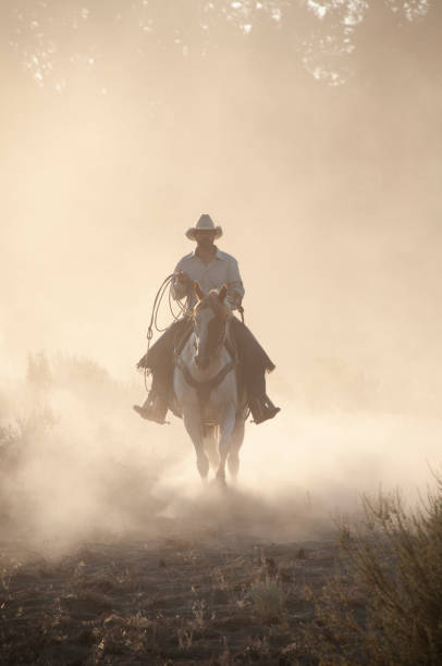 istock herd horses by horseback 1409987715
