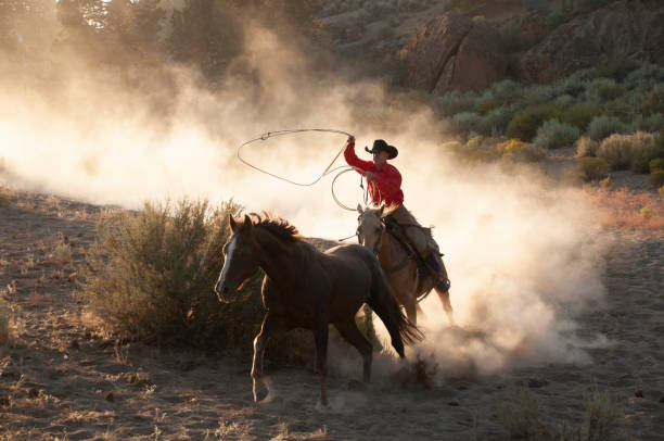 istock herd horses by horseback 1409988283