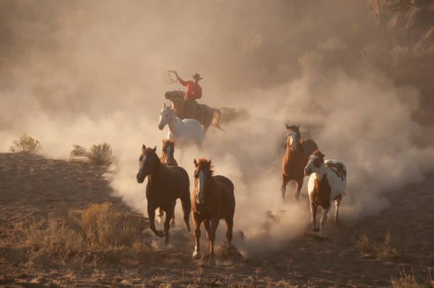istock herd horses by horseback 1409988419