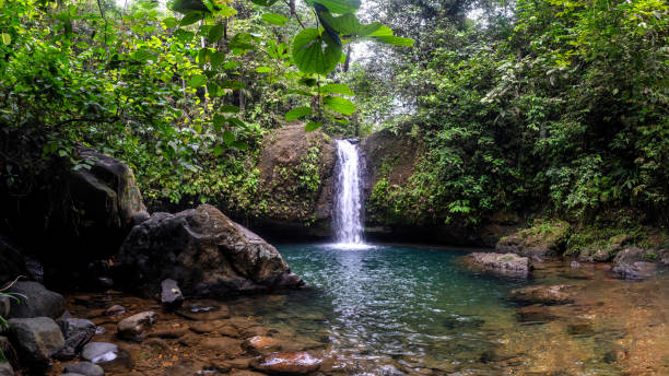 istock Waterfall in canyon surrounded by green foliage 1409988590