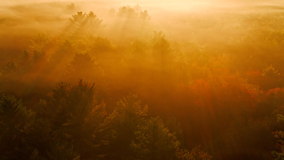 Aerial shot of New England forest on a misty morning in autumn near Foster, Rhode Island.