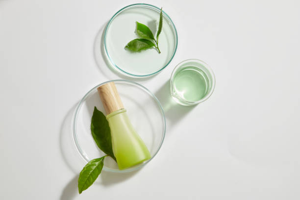 istock Research on tea leaf extract on cosmetic jar using for skin care , laboratory equipment and blank space for product , healthy cosmetic content 1409996839