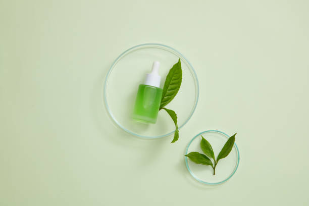 istock Research on tea leaf extract on cosmetic jar using for skin care , laboratory equipment and blank space for product , healthy cosmetic content 1409996879