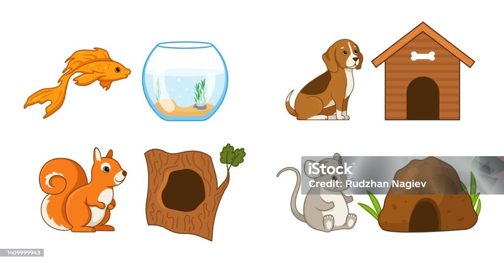 Animals With Their Houses Set Stock Illustration - Download Image Now -  Animal, Animal Nest, Bundle - iStock