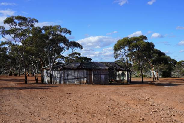 istock Kalgoorlie Two-Up Shed in Afternoon Light 1410001205