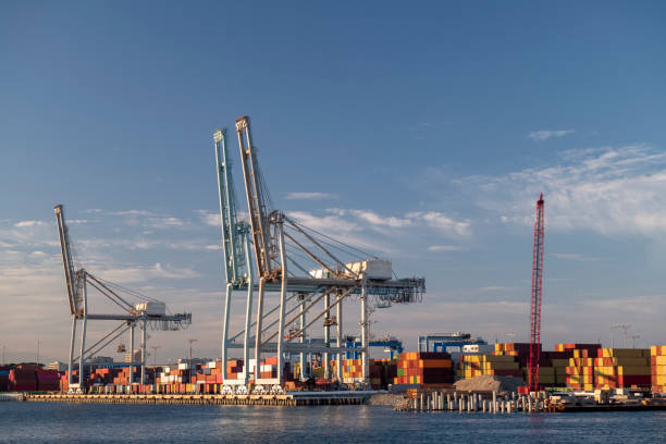 istock Cargo cranes in port during the late afternoon 1410001252